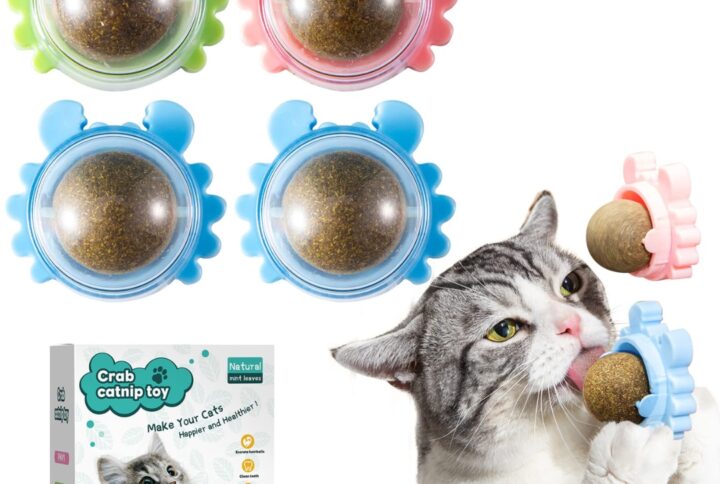 Catnip Ball for Cat