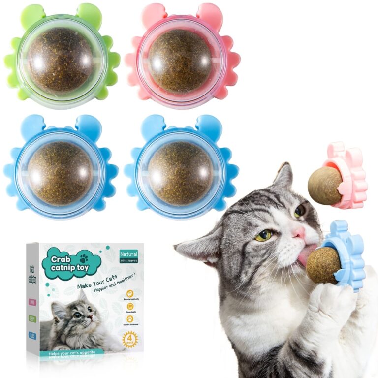 Catnip Ball for Cat