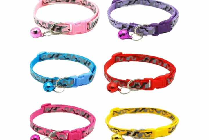 Colorful Puppy Collar for Cats and Dogs