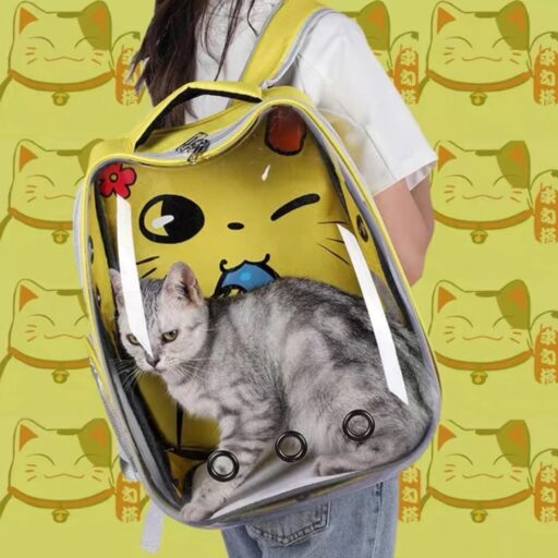 Cute Cartoon Backpack Bag for Pets for Carrying