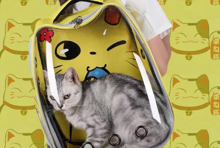 Cute Cartoon Backpack Bag for Pets for Carrying