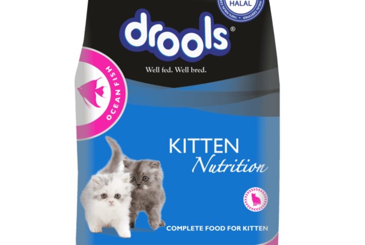 Drools Kitten Cat Food - Ocean Fish Flavour