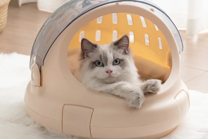 Portable Capsule Design Travel Pet Carrier Hand Bag