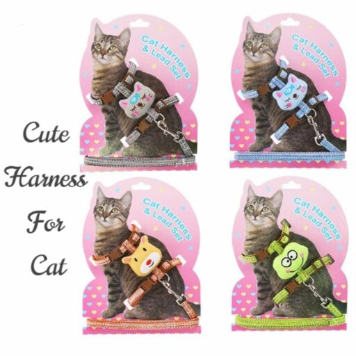 Cute and Premium Quality Harness & Lead Set for Cat