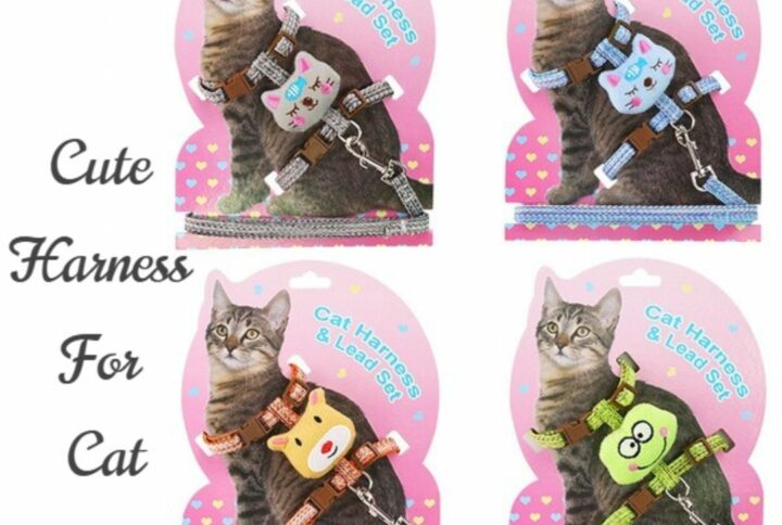 Premium Quality Harness and Lead Set for Cats