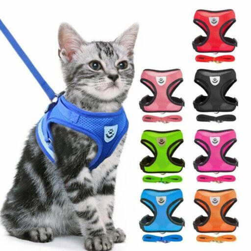 Cat Vest Jacket Harness and Leash