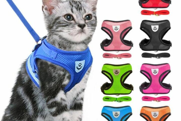 Vest Jacket Harness and Leash for Cats