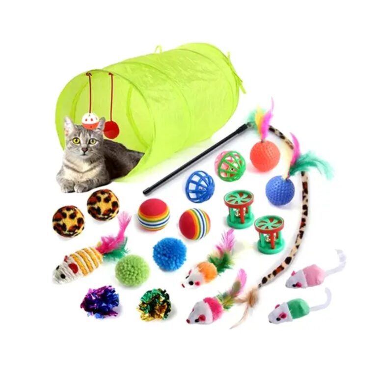 21 Pieces Toy Set