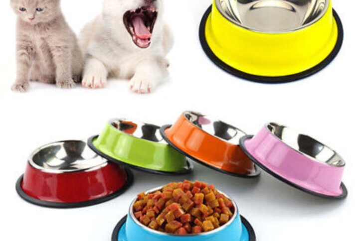 Colorful Stainless Steel Pet Food Bowl for Cats and Dogs