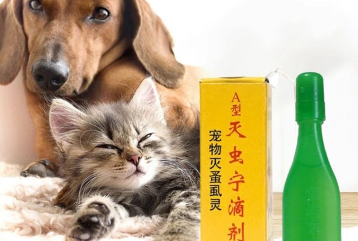 Flea Killer Spot On for Pet Cat & Dog (2.5ml)