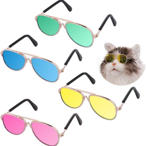 Stylish Sunglasses for Cats | Price in Bangladesh