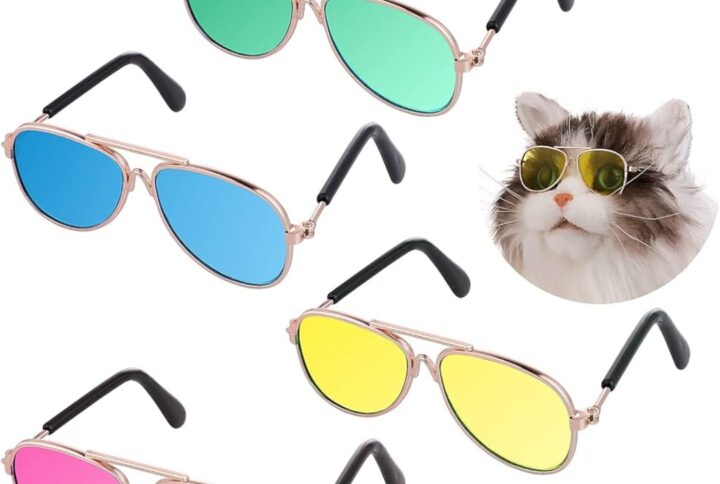 Stylish Sunglasses for Cats