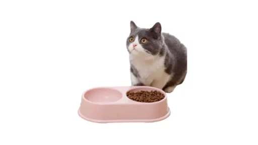 Double Food Bowl for Cats